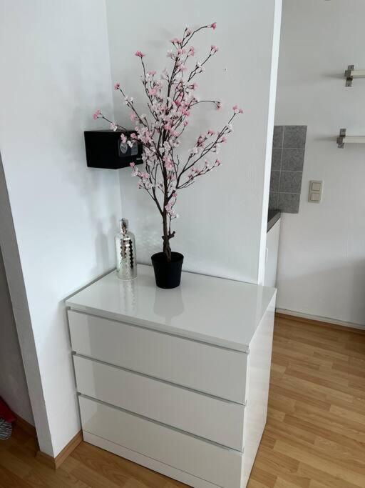Kleines Apartment Im Zentrum Von Wuerzburg Eksteriør billede